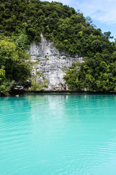 Jezioro Meduzy Palau Pacyfiku — Zdjęcie stockowe