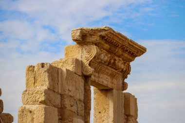 2020 'de Suriye çölündeki antik Palmerya kenti.