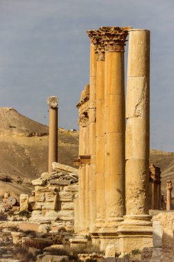 2020 'de Suriye çölündeki antik Palmerya kenti.