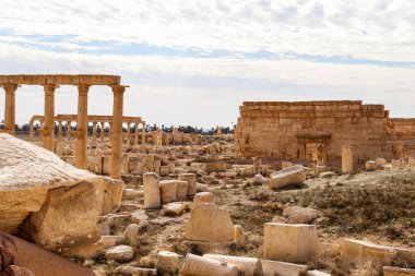 2020 'de Suriye çölündeki antik Palmerya kenti.