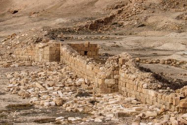 2020 'de Suriye çölündeki antik Palmerya kenti.