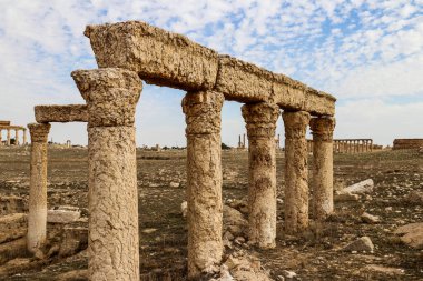 2020 'de Suriye çölündeki antik Palmerya kenti.