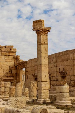 2020 'de Suriye çölündeki antik Palmerya kenti.