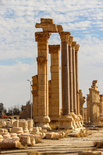 Ancient City Palmerya Syrian Desert 2020 — Stock Photo, Image