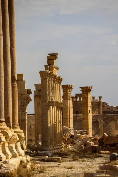 Ancient City Palmerya Syrian Desert 2020 — Stock Photo, Image