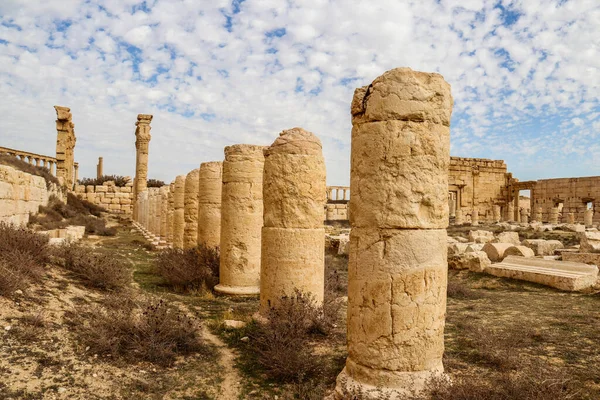 2020年叙利亚沙漠中的古城帕尔默利亚 — 图库照片