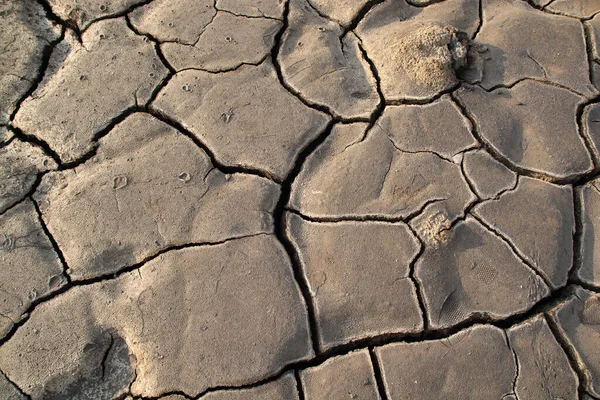 La texture de l'argile réfractaire avec de grandes fissures. La sécheresse et les problèmes environnementaux — Photo