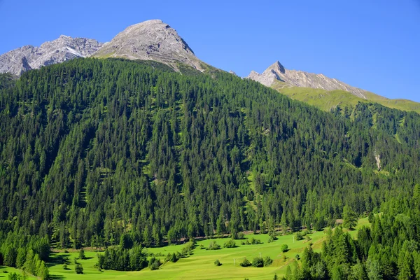 Letní krajina ve Švýcarsku Alpy — Stock fotografie