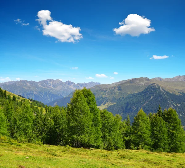 Літній пейзаж у швейцарських Альпах поблизу Давос — стокове фото