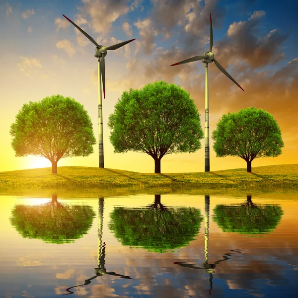 Bomen met windturbines op weide bij zonsondergang. — Stockfoto