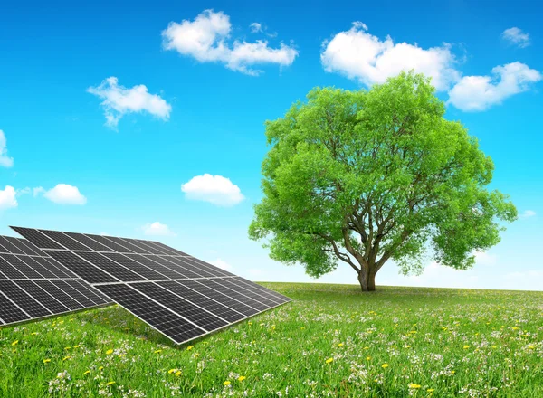 Sonnenkollektoren und Baum auf Wiese. — Stockfoto