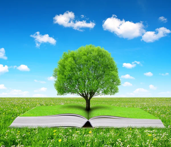 Livro da natureza com árvore — Fotografia de Stock
