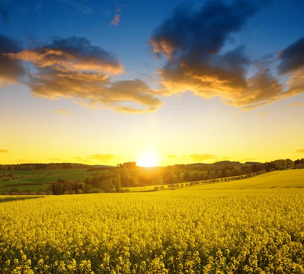 Coucher de soleil sur le paysage printanier — Photo