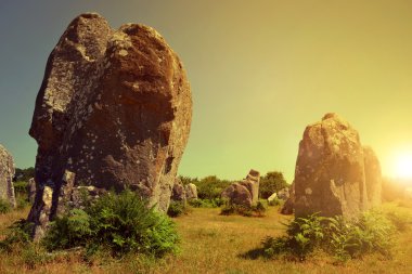 Megalithic monuments menhirs in Carnac at sunset  clipart