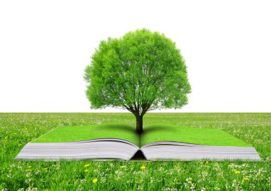 Kitap ağacı ile doğanın