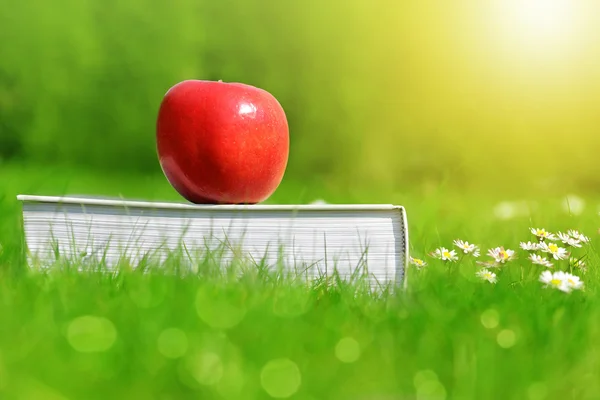 Apple na książki w trawie. — Zdjęcie stockowe