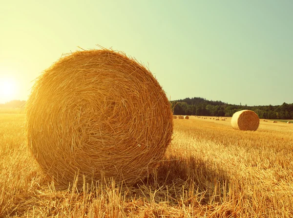Halmbalar på jordbruksmark — Stockfoto