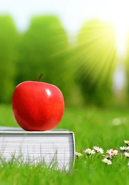 Apfel auf Buch im Gras. — Stockfoto
