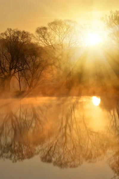 Nascer do sol sobre a lagoa — Fotografia de Stock