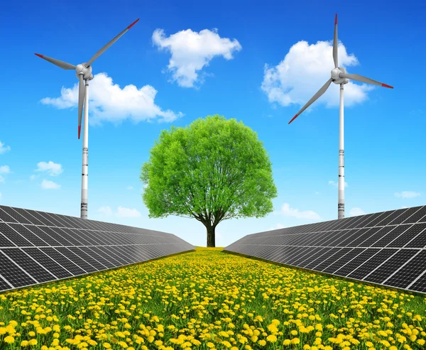 Solar energy panels with wind turbines and tree — Stock Photo, Image