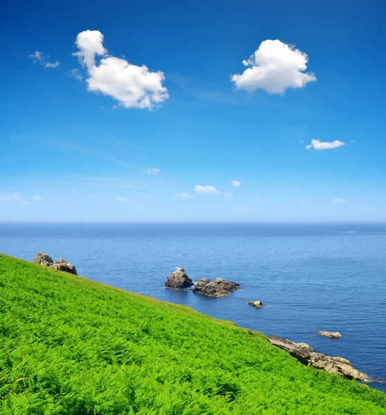 Pointe du raz - Bretagne, Nordfrankreich — Stockfoto