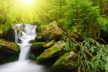 milli park sumava şelale