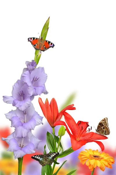 Spring flowers with butterflies — Stock Photo, Image