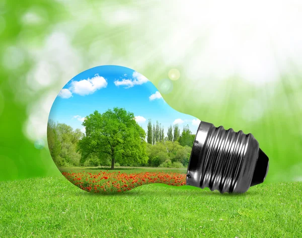 Eco žárovka v trávě. — Stock fotografie