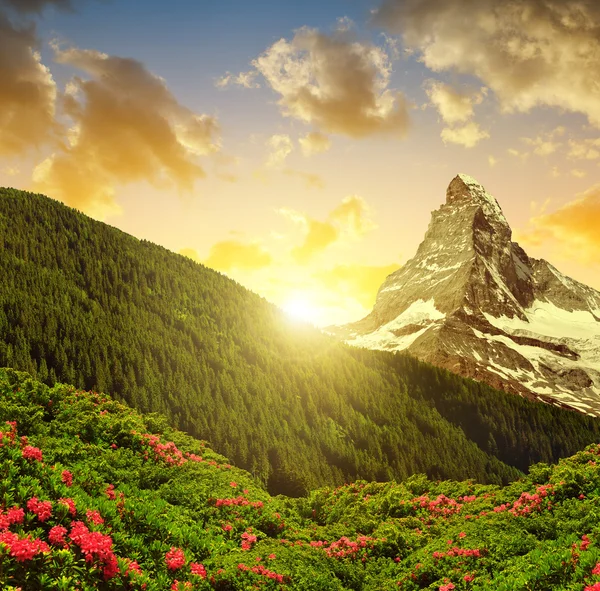 Mountain landscape with mount Matterhorn in the sunset — Stock Photo, Image