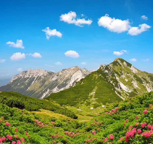 Triglavs nationalpark i Slovenien — Stockfoto