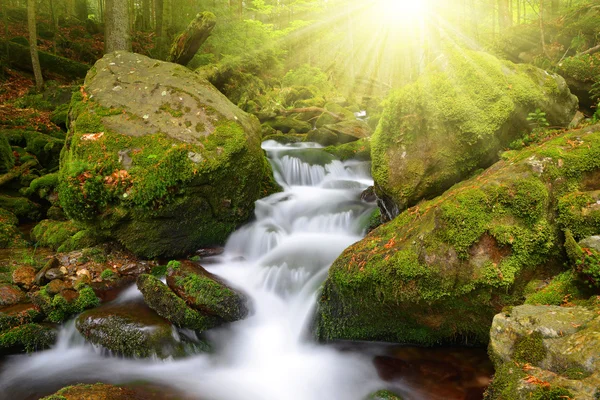 Cachoeira no parque nacional Sumava — Fotografia de Stock