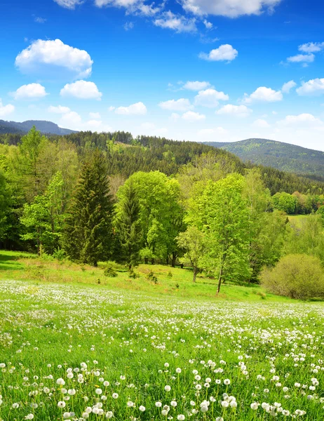 Primavera paisagem montanhosa no parque nacional Sumava — Fotografia de Stock