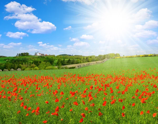 Paesaggio primaverile con campo di papavero — Foto Stock