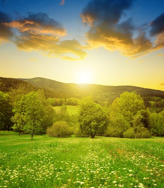 Lente berglandschap in nationaal park Sumava bij zonsondergang — Stockfoto