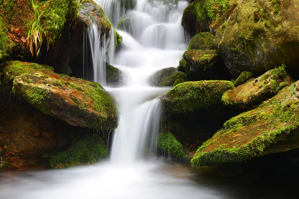Vattenfall på en mountain creek. — Stockfoto
