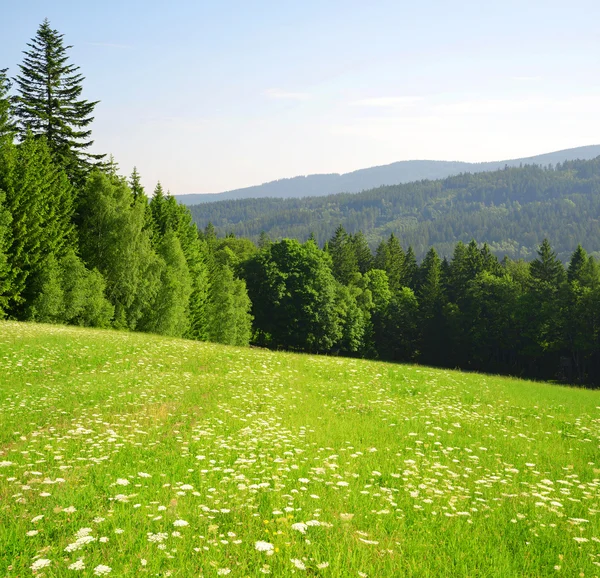 Våren bergslandskap i nationalparken Sumava — Stockfoto