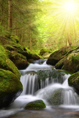 Şelale mountain Creek 