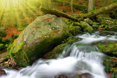 Ulusal parkta Sumava dağ dere