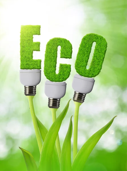 Lampadina ecologica che cresce sulle piante . — Foto Stock