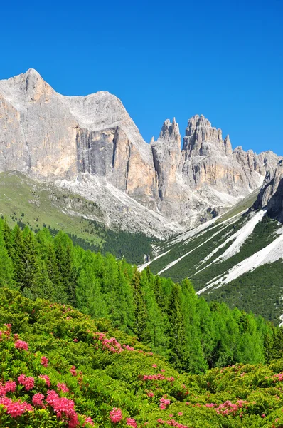 Torri del vajolet in den Dolomiten — Stockfoto