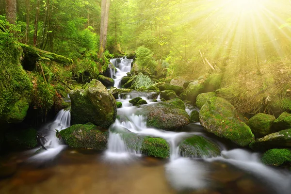 Berg creek in het nationaal park Sumava — Stockfoto