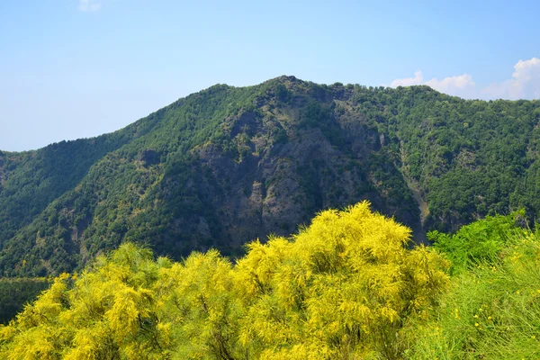 Mount Somma - Province of Naples, in the Campania region, Italy. — Stock Photo, Image