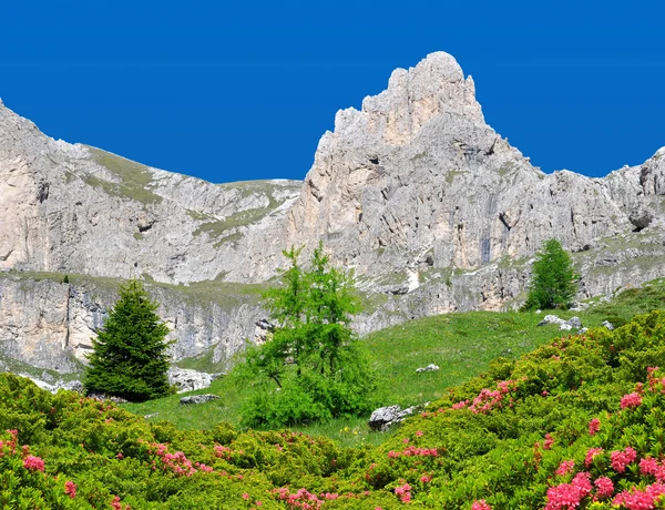 Valle del Vajolet w Dolomity, Alpy Italien — Zdjęcie stockowe