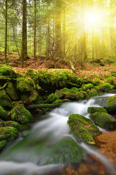 Ruscello di montagna - Repubblica Ceca — Foto Stock