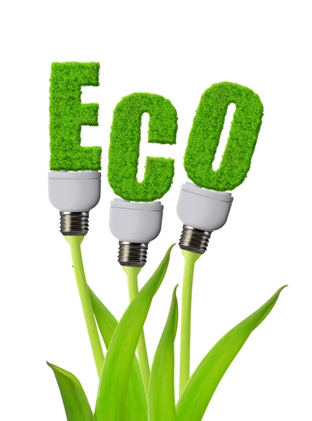 Eco bulbo creciendo en la planta — Foto de Stock