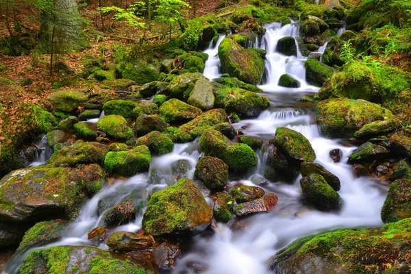 Mountain stream in Czech Republic — Stock Photo, Image