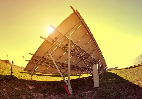 Solar panels at sunset. — Stock Photo, Image