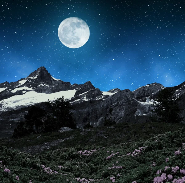 Pennine alps, İsviçre için Zinalrothorn. — Stok fotoğraf