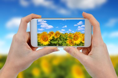 Kişi bir akıllı telefon ile fotoğraf çekme