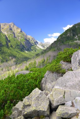  Yüksek Tatras dağlar, Batı Karpatlar, Slovakya 